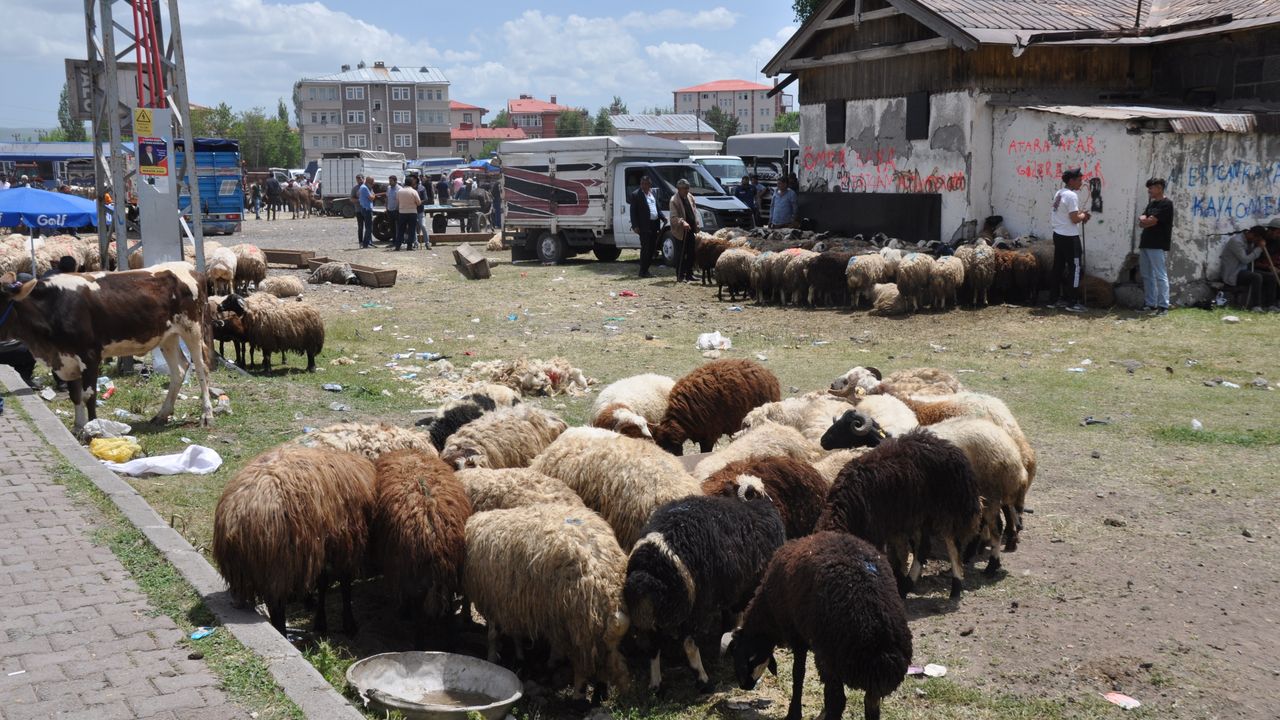 “Kars’ta Kurban Bayramı Yoğunluğu: Trafik ve Alışveriş Hareketliliği”