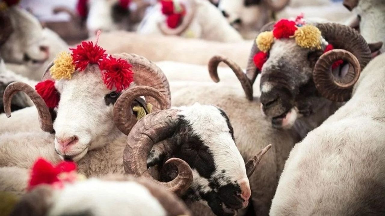 Kurban Bayramı’nda Yoğun Hazırlık ve Seyahat Hareketliliği