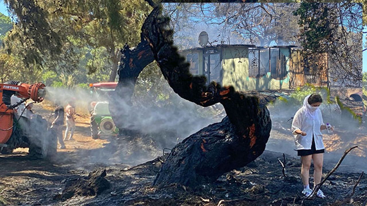 Antalya Güzeloba’da Orman Yangını: 1 Ev Küle Döndü