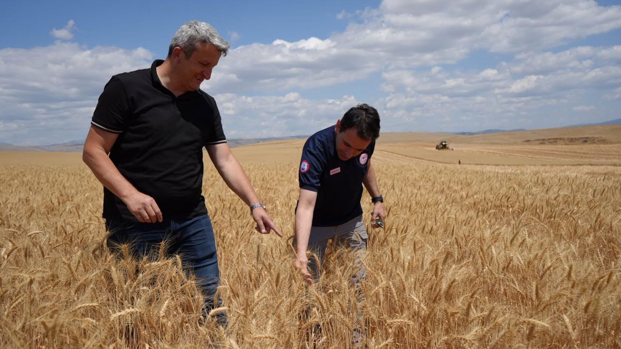 Amasya’da Buğday Hasadı Başladı: Yangın Önlemleri Vurgulandı