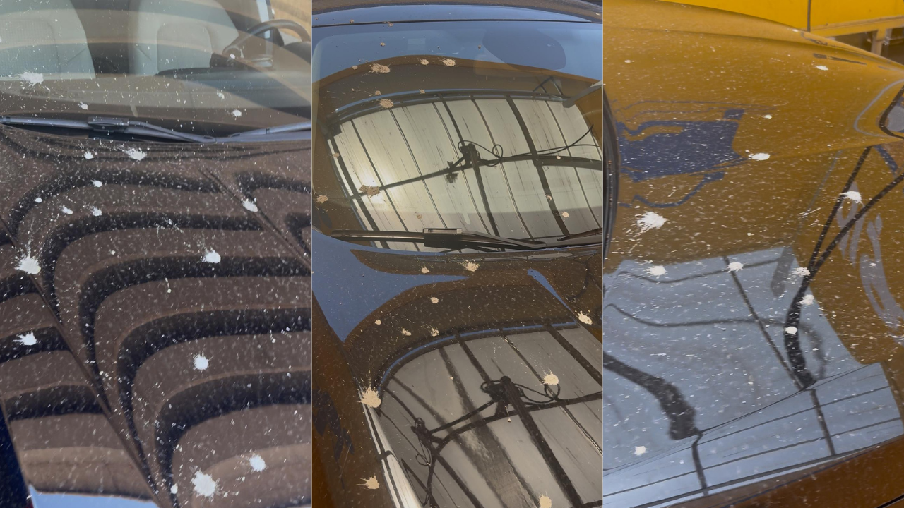 Antalya’da Önlemsiz Beton Dökümü Park Halindeki Araçlara Zarar Verdi