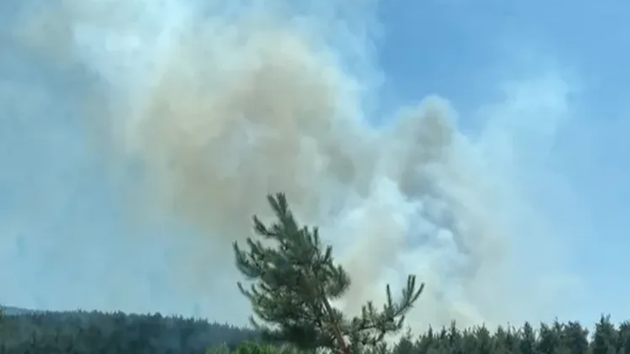 Muğla’nın Esenköy Mahallesi’nde Orman Yangını: Müdahale Sürüyor