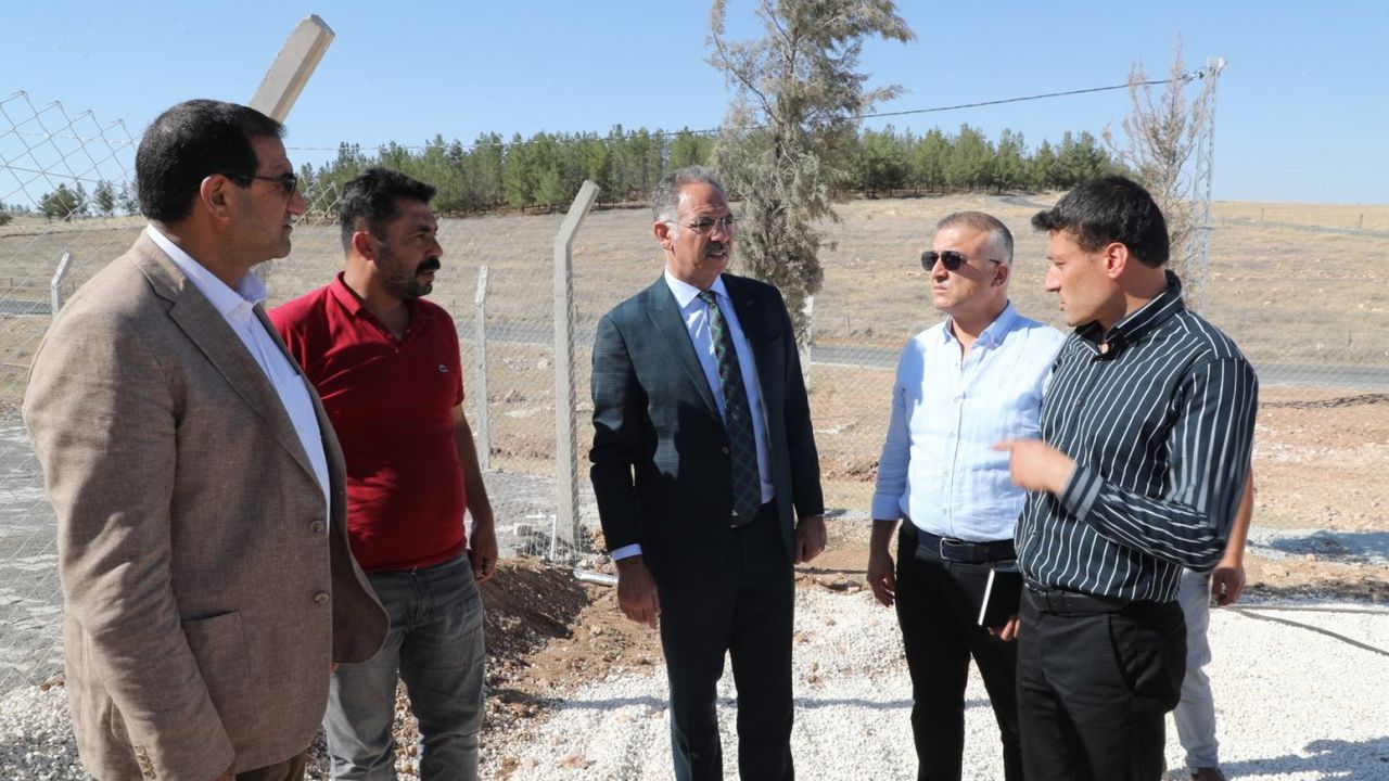 Eyyübiye’de Başıboş Hayvan Sorunu Yeni Bakımevi ile Çözülecek