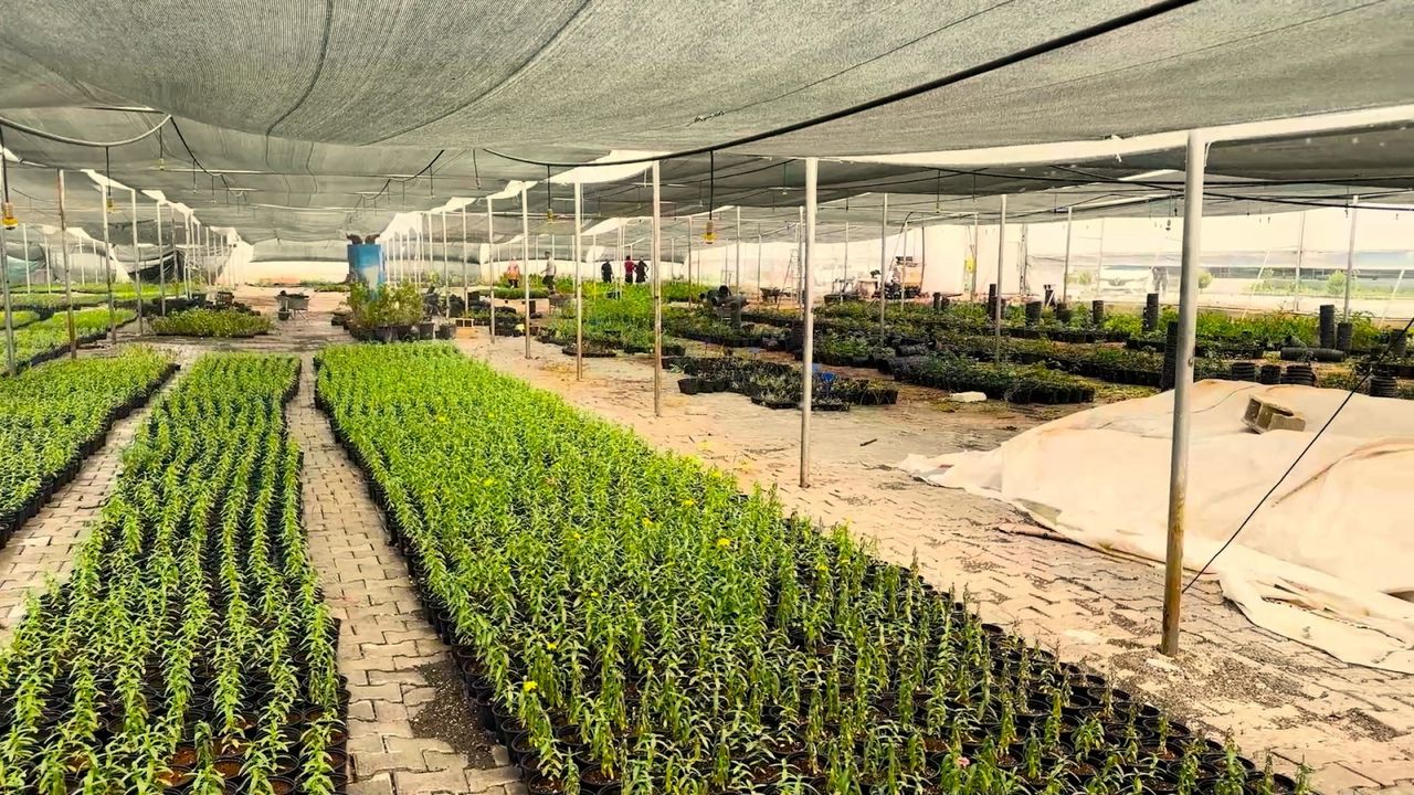 Eyyübiye Belediyesi Parkları Kendi Üretimiyle Donatıyor, Tasarruf Sağlıyor