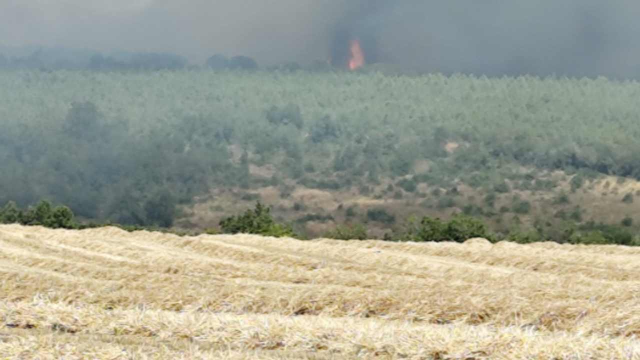 Silivri Çanta’da Orman Yangını: Ekipler Seferber Oldu