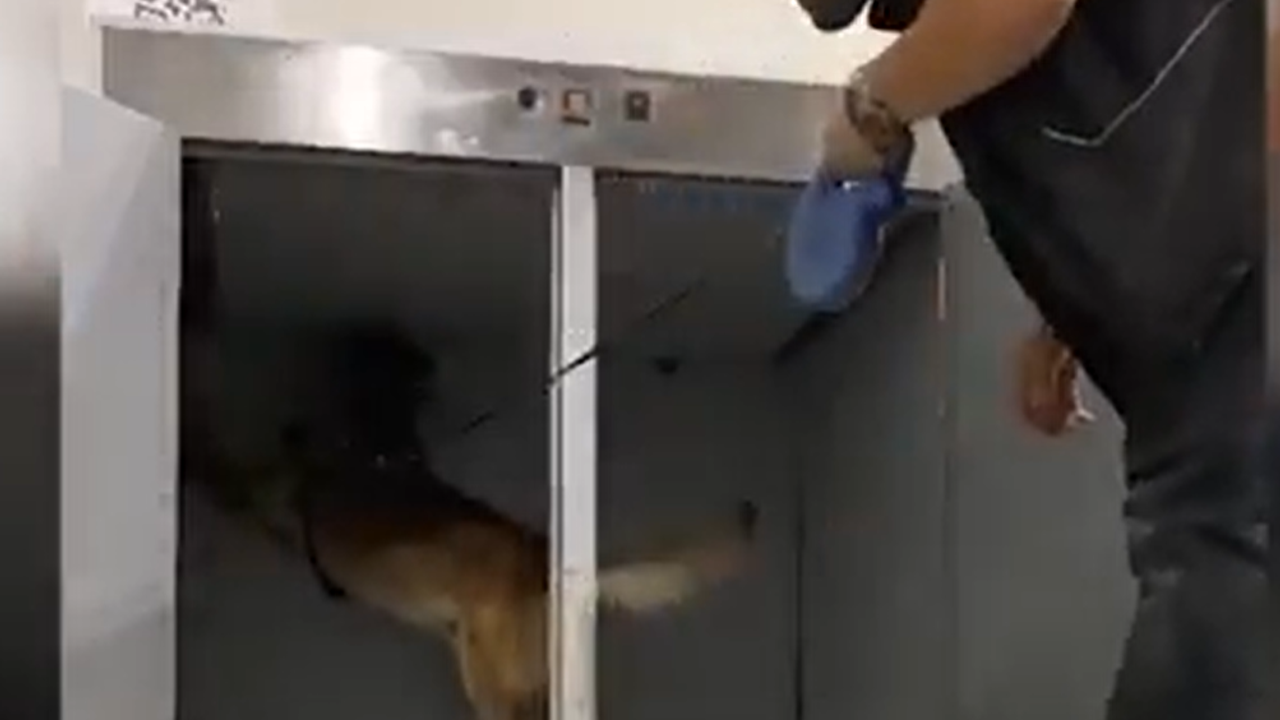 Ticaret Bakanlığı Operasyonlarında 1 Tondan Fazla Uyuşturucu Ele Geçirildi