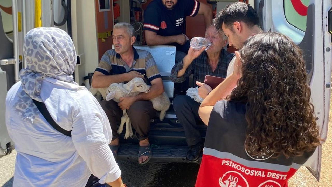 Bilecik, İzmir ve Hatay’daki Yangınzedelere 12.26 Milyon TL Destek