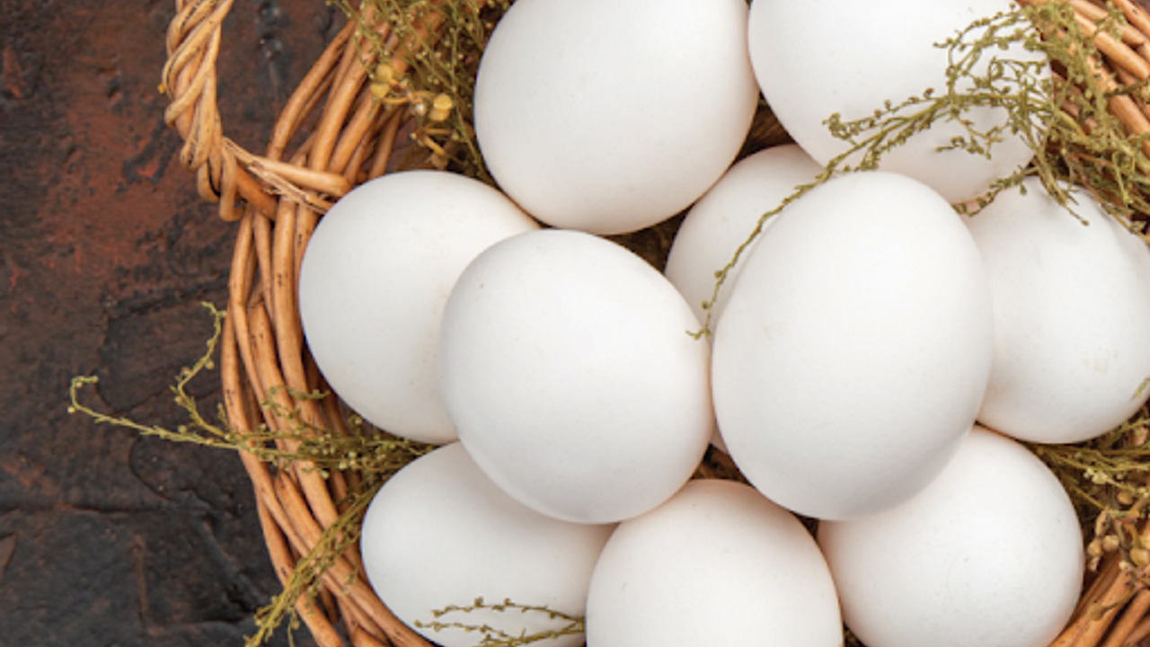 Ticaret Bakanlığı Tavuk Yumurtası İhracatına İzin Zorunluluğu Getirdi