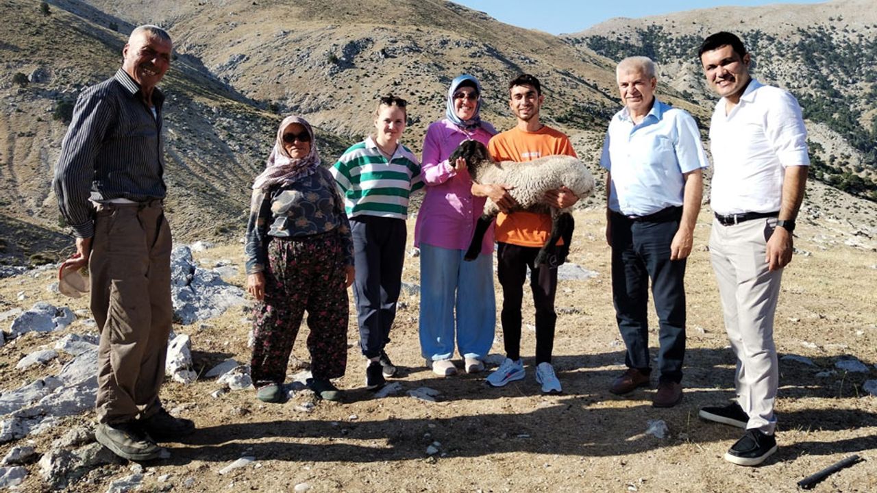 Isparta’da Küçükbaş Hayvancılık Projesiyle Koyun Sayısı 5 Kat Arttı