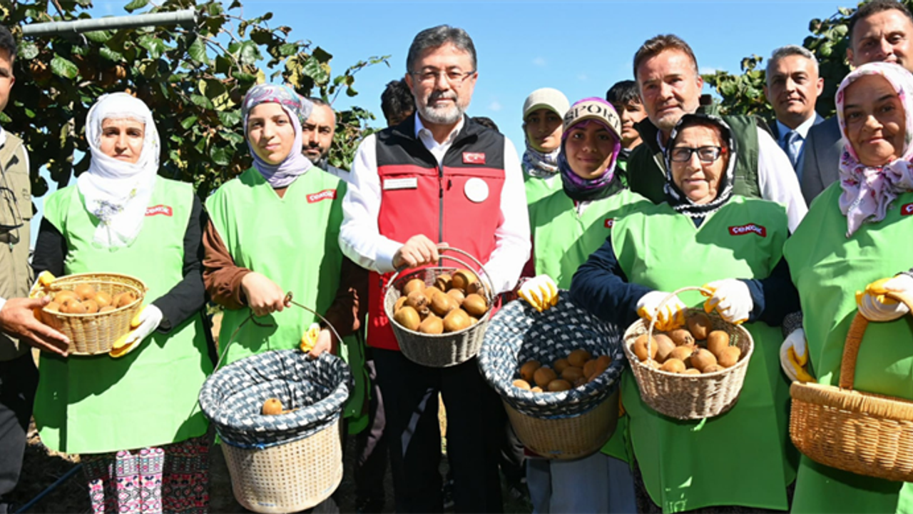 Bakan Yumaklı: 2025 Kivi Rekoltesi 90 Bin Ton Bekleniyor