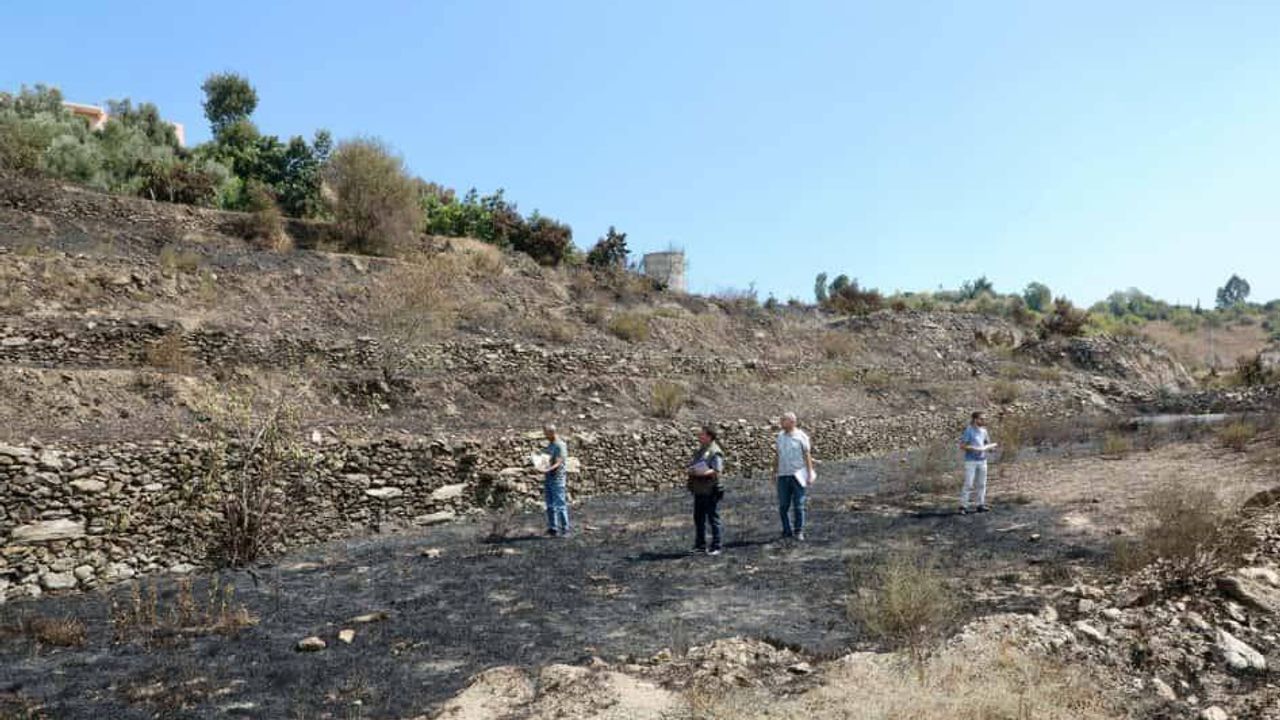 Alanya’da Orman Yangınları Söndürüldü, Hasar Tespiti Başladı