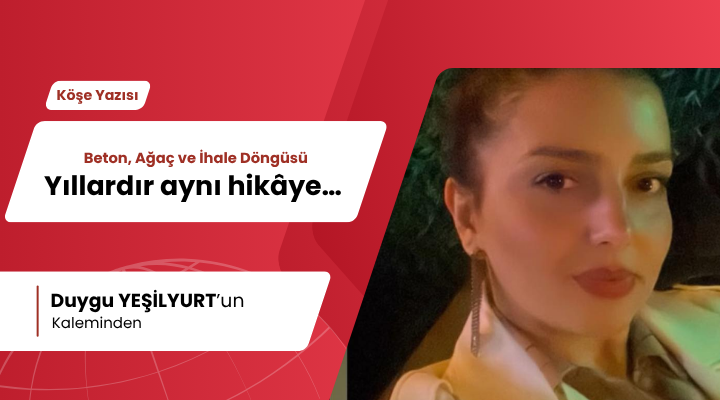 Beton, Ağaç ve İhale Döngüsü