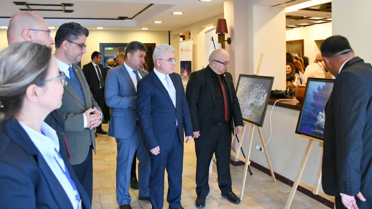 Marmara’da Derin Su Mercanları Araştırması Tamamlandı