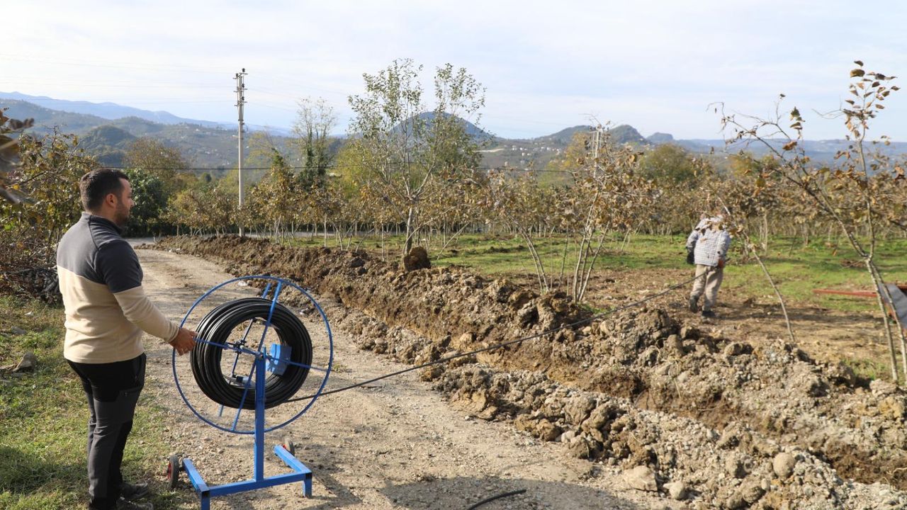 Ordu’da Fındıkta Yüzde 40 Verim Artışı Hedefleniyor