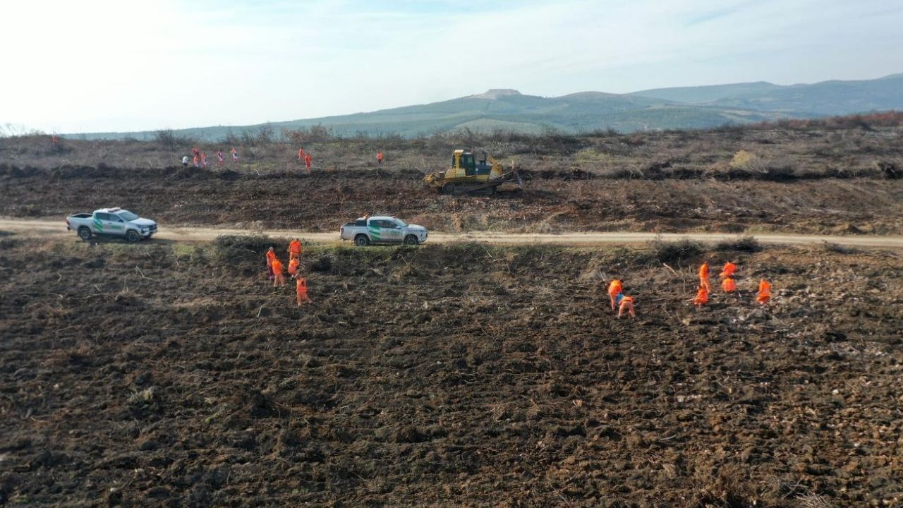 Manisa’da 400 Bin Fidanla Yeşil Alanlar Yenileniyor