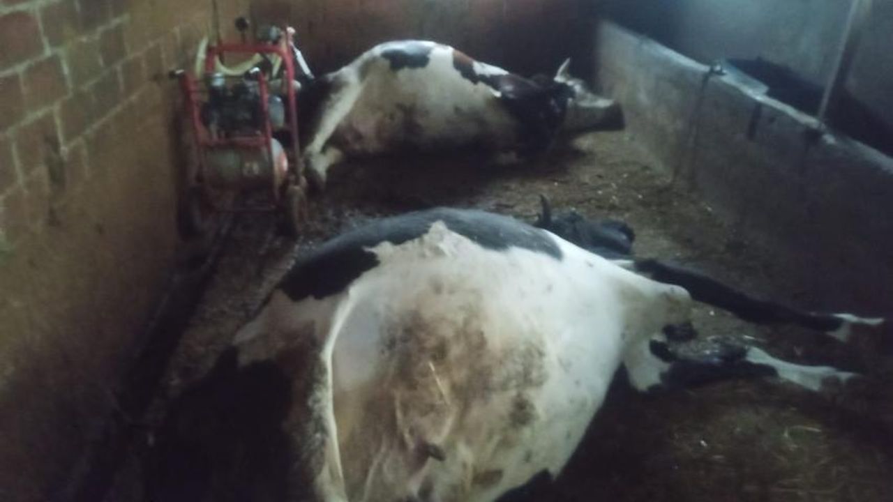 Aydın’da Yıldırım Elektrik Trafosunu Patlattı