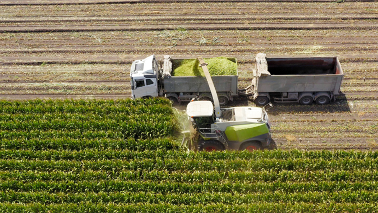 Çiftçilere 306 Milyon TL Tarımsal Destek Ödemesi Yapıldı