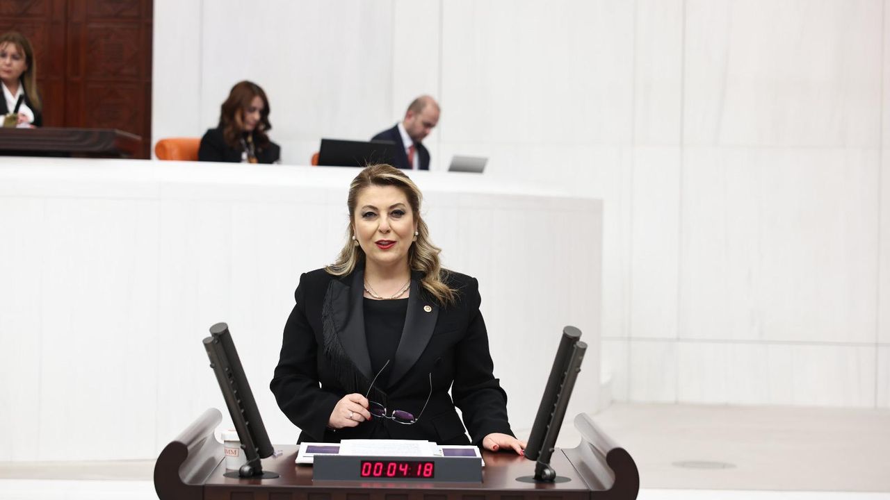 CHP’li Gezmiş’ten Giresun’un Ulaşım Sorunlarına Meclis Çağrısı