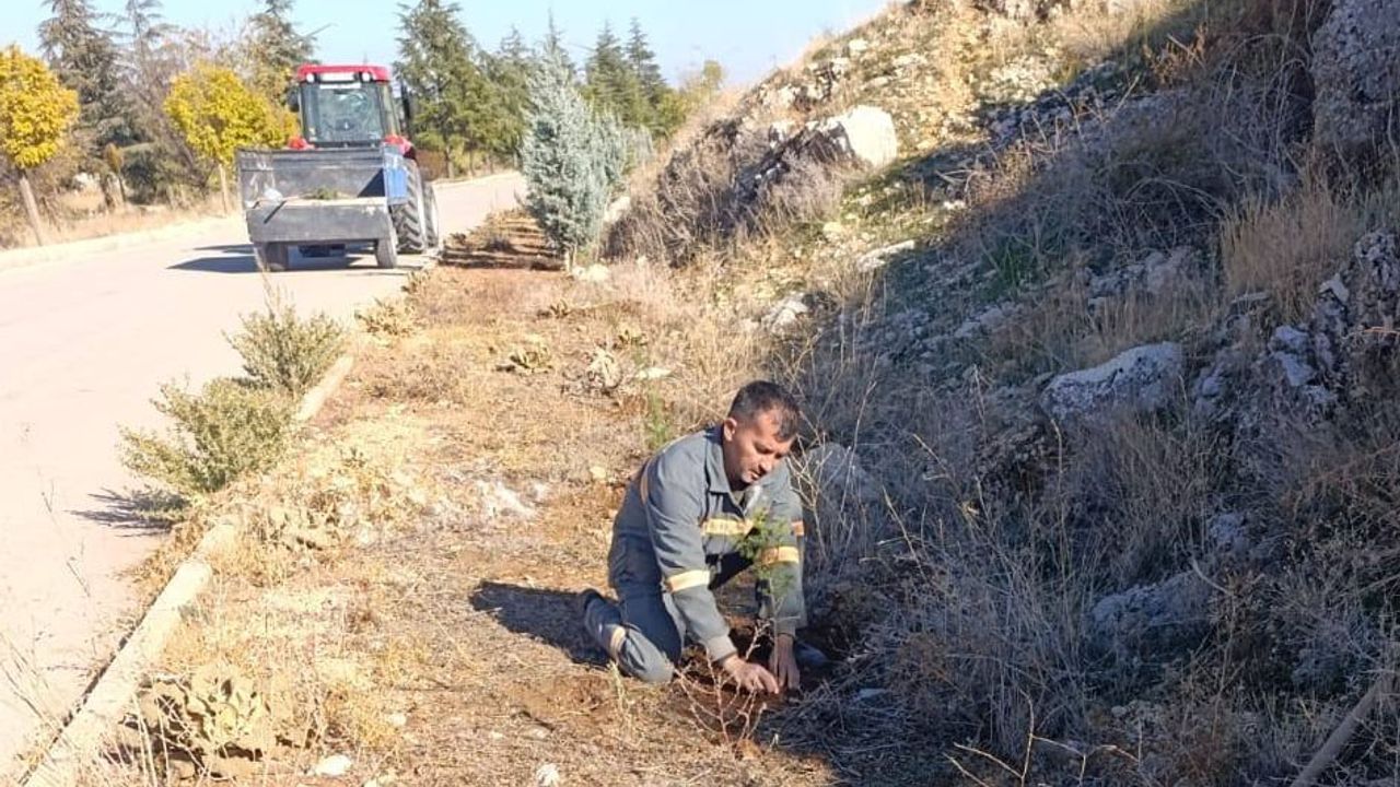 Senirkent’te Yeşillendirme ve Ağaç Dikim Çalışmaları Hızlandı