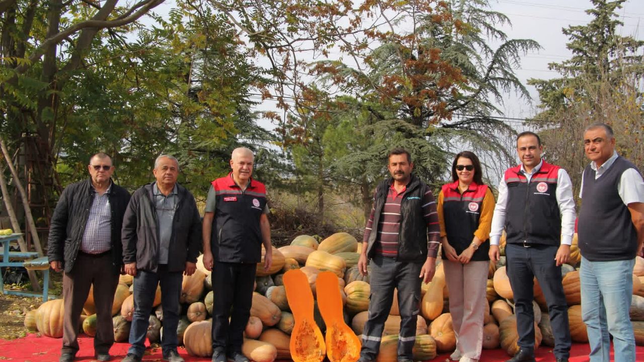 Isparta’da Bal Kabağı Üretimine Modern Tarım Desteği