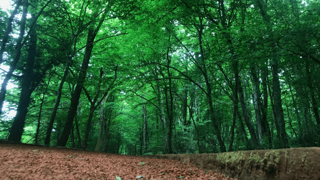 OGM 496 Personel Alımı Yapıyor