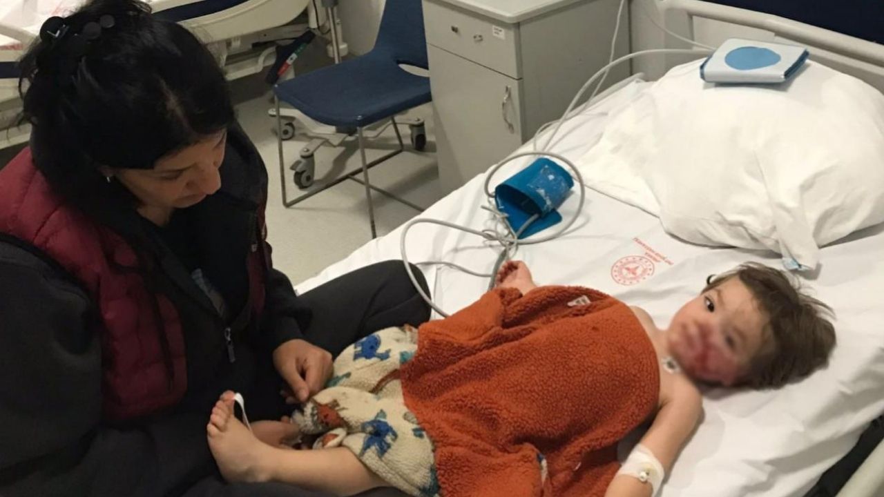 Ankara’da Pitbull Saldırısı: Köpek Sahibi Gözaltında