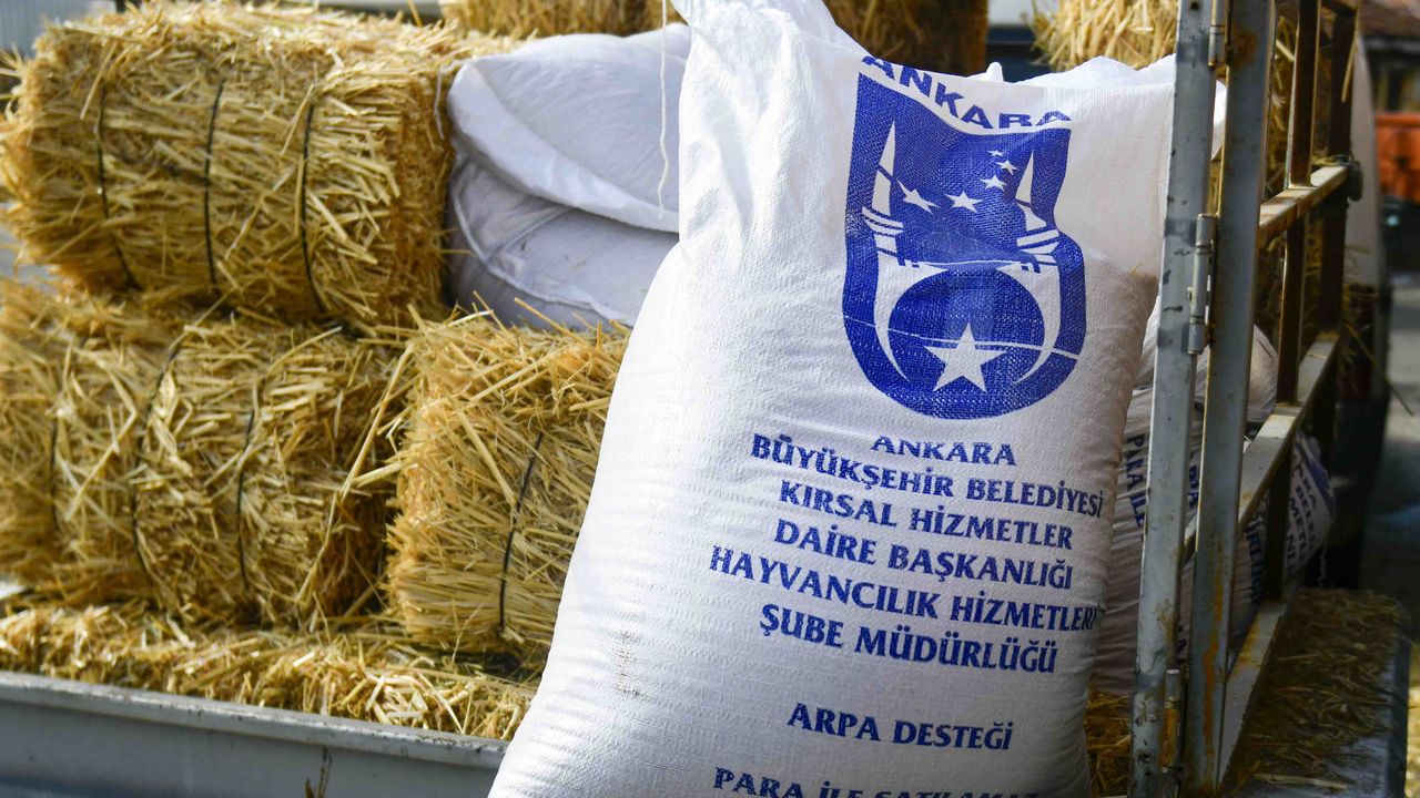 Ankara Büyükşehir Belediyesi 92 Yetiştiriciye Yem Desteği Sağladı