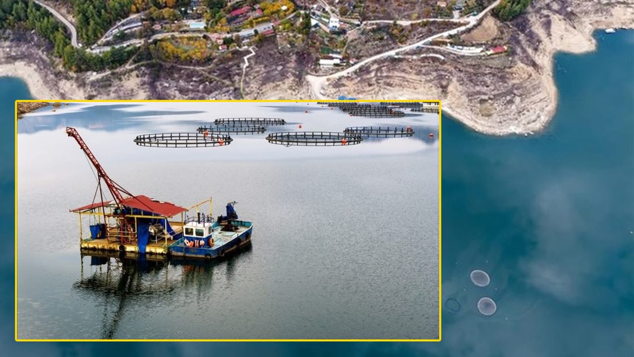 Karacaören Barajı Kafes Balıkçılığı Ekonomi ve İstihdamı Canlandırıyor