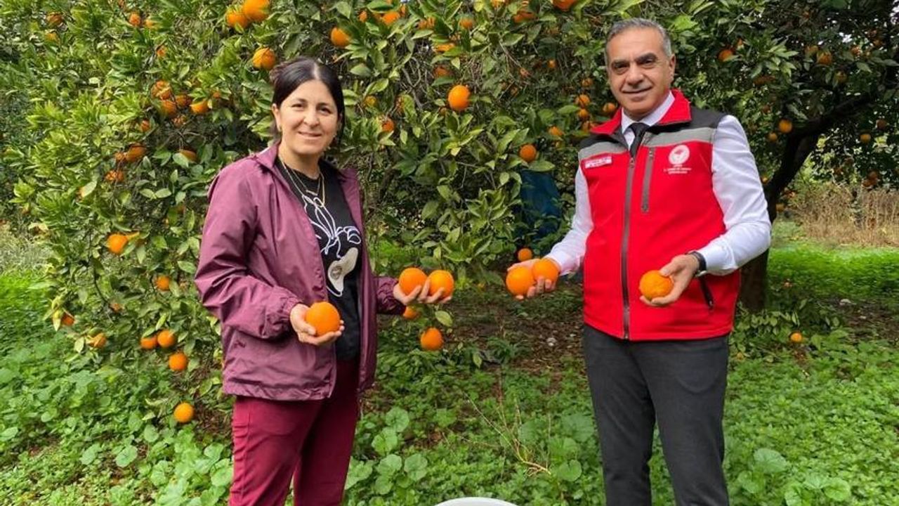 Aydın’da Kuyucak Portakalı Hasadında EKÜY Belgeleri Verildi