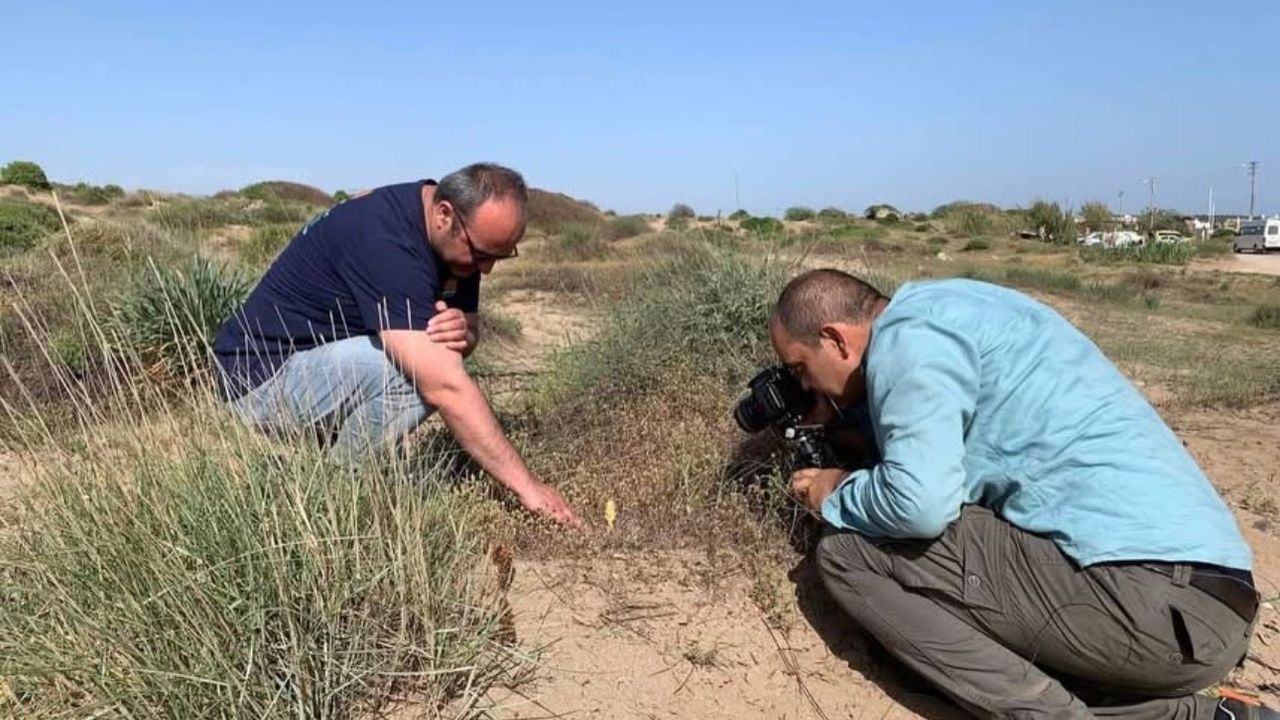 2026’da Endemik Bitki Koparma Cezası 700 Bin TL’yi Aşıyor