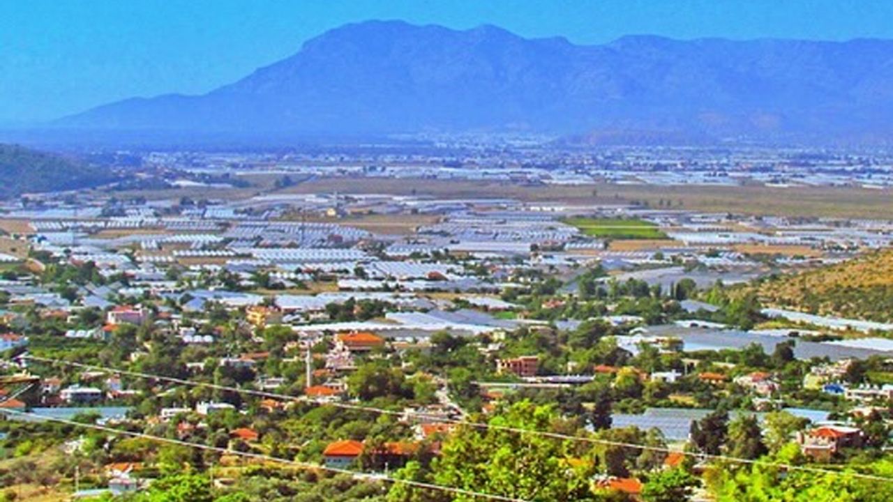 Antalya Sahilinde Don Riski: Örtü Altı Tarım Tehdit Altında