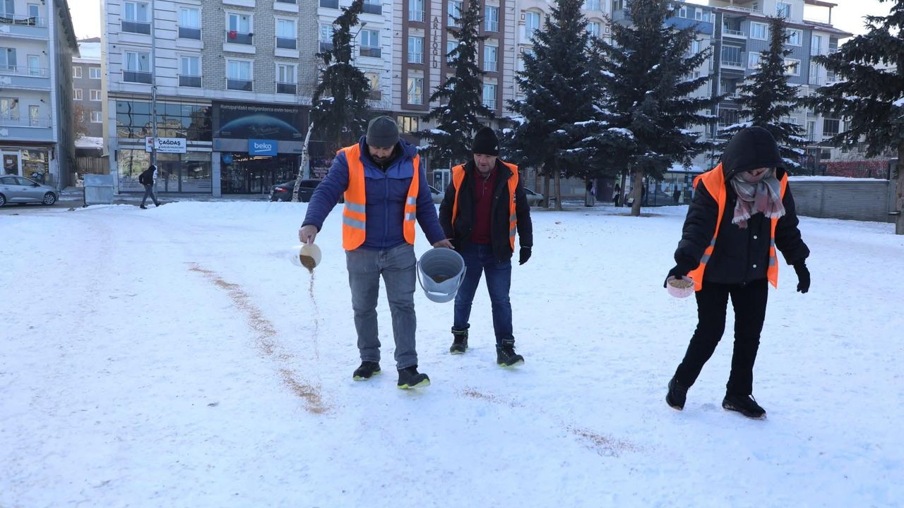 Kars Belediyesi Kuşlar İçin Kış Yemleme Çalışması Başlattı