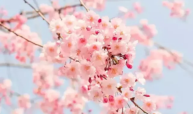 İlk Cemre Havaya Düştü: Baharın Müjdecisi Geldi