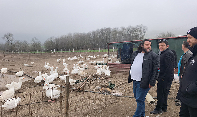 Samsun’da Kaz Yetiştiriciliği İçin Uygulamalı Eğitim Düzenlendi