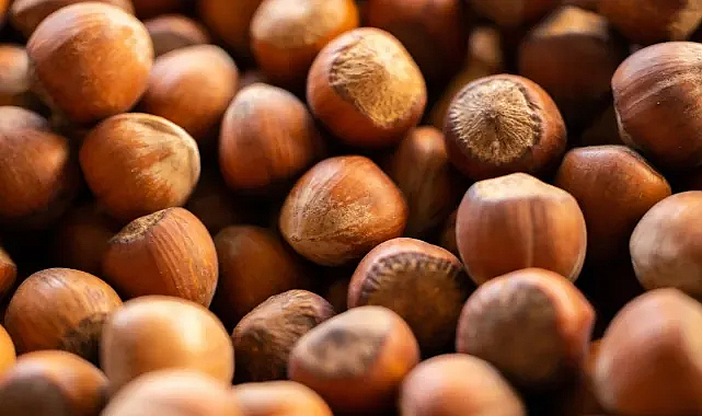 Fındık İhracatında Gelir 1,17 Milyar Doları Aştı