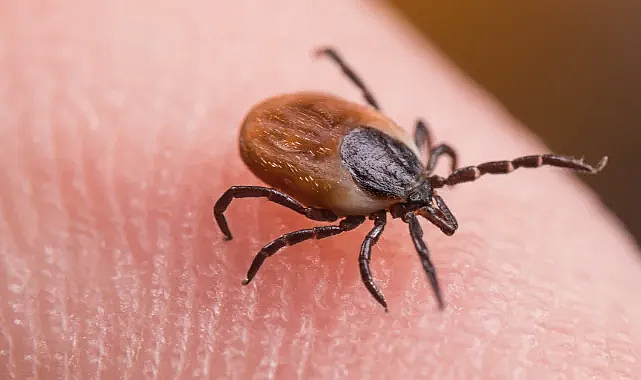 Sivas’ta KKKA şüphesiyle 21 yaşındaki genç hayatını kaybetti