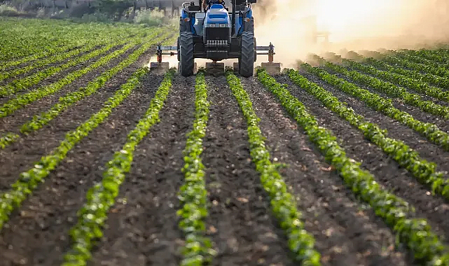 Türkiye genelinde yağışlar son 38 yılın rekorunu kırdı