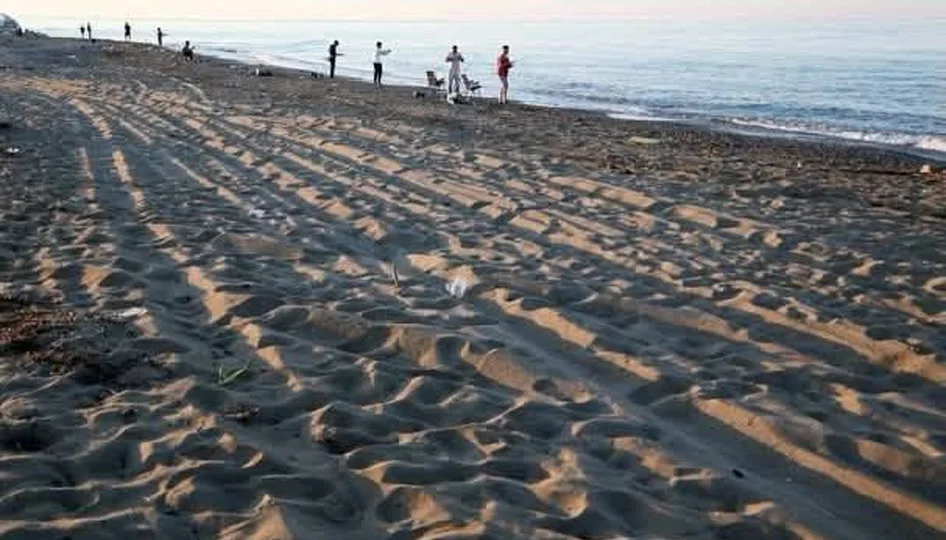 Caretta caretta yuvalama alanlarında ceza 699 bin TL’ye çıktı