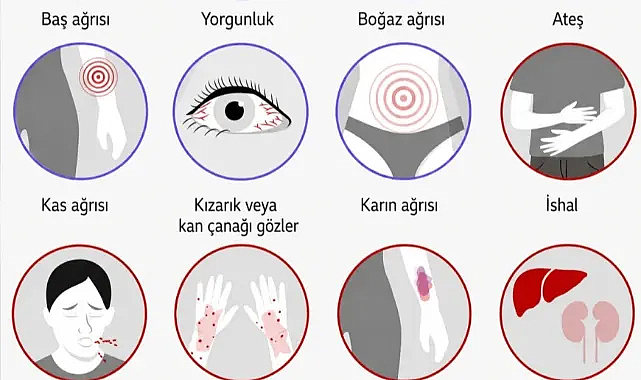 DSÖ Kongo’daki Ebola salgını için acil durum ilan etti