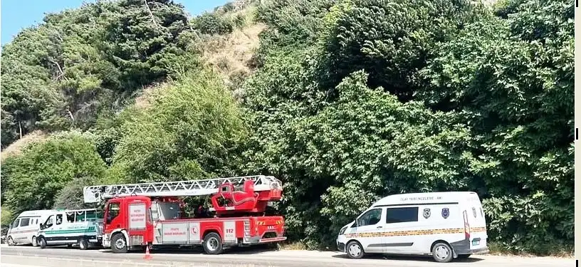 Hatay’da ormanlık alanda ağaca asılı ceset bulundu