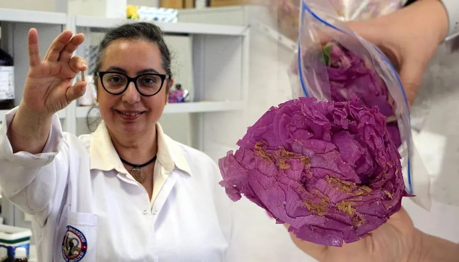 Trakya Üniversitesi’nde gül tablet parfüme dönüştürüldü