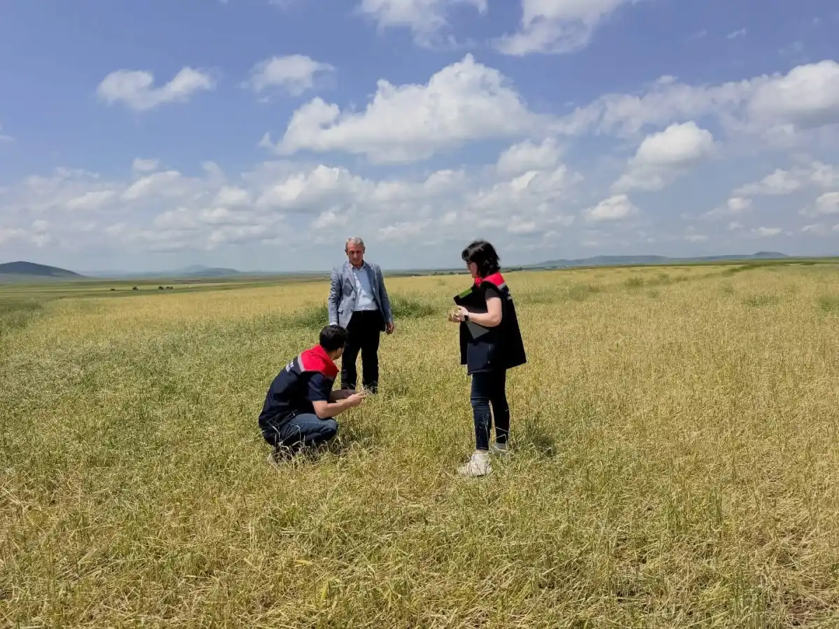 Kars’ta fırtına ve dolu tarım arazilerine zarar verdi