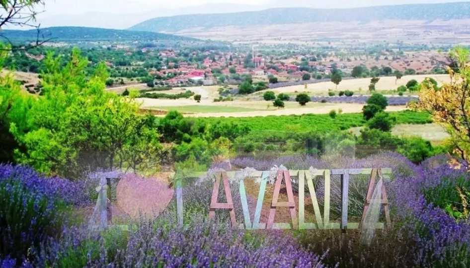 Isparta’da lavanta tarlaları mor renge büründü, ziyaretçilerini ağırlıyor