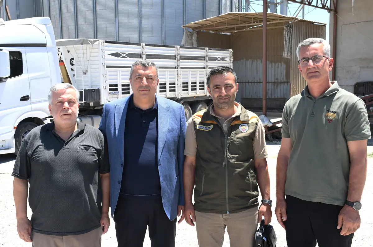Malatya’da TMO arpa ve buğday alımlarına başladı, yüksek rekolte bekleniyor