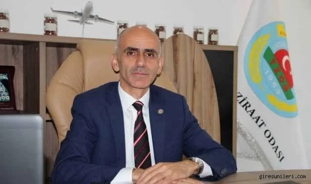 Fındık üreticisi maliyet artışı ve düşen fiyatlarla zor durumda