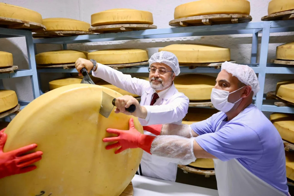 Bakan Yumaklı’dan Kars’ta kaşar ve gravyer üretim tesisi ziyareti