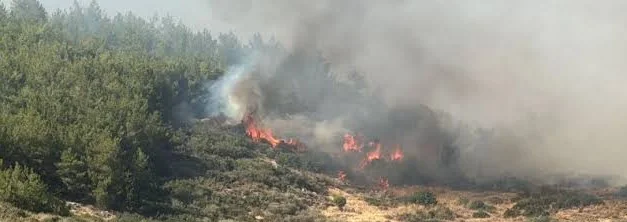 Çanakkale’de orman yangını: Havadan ve karadan müdahale