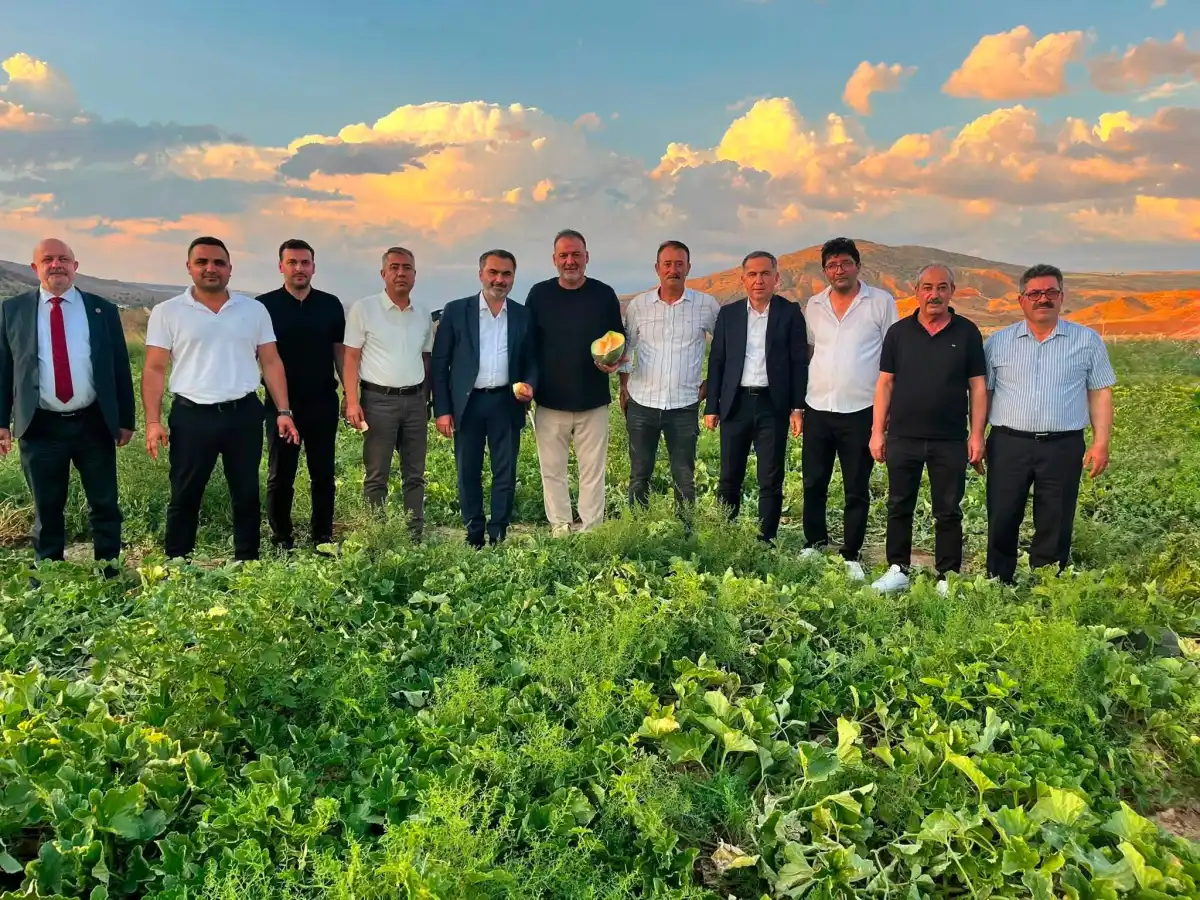 Delice Kara Kavunu’nda bilimsel projenin ilk hasadı yapıldı