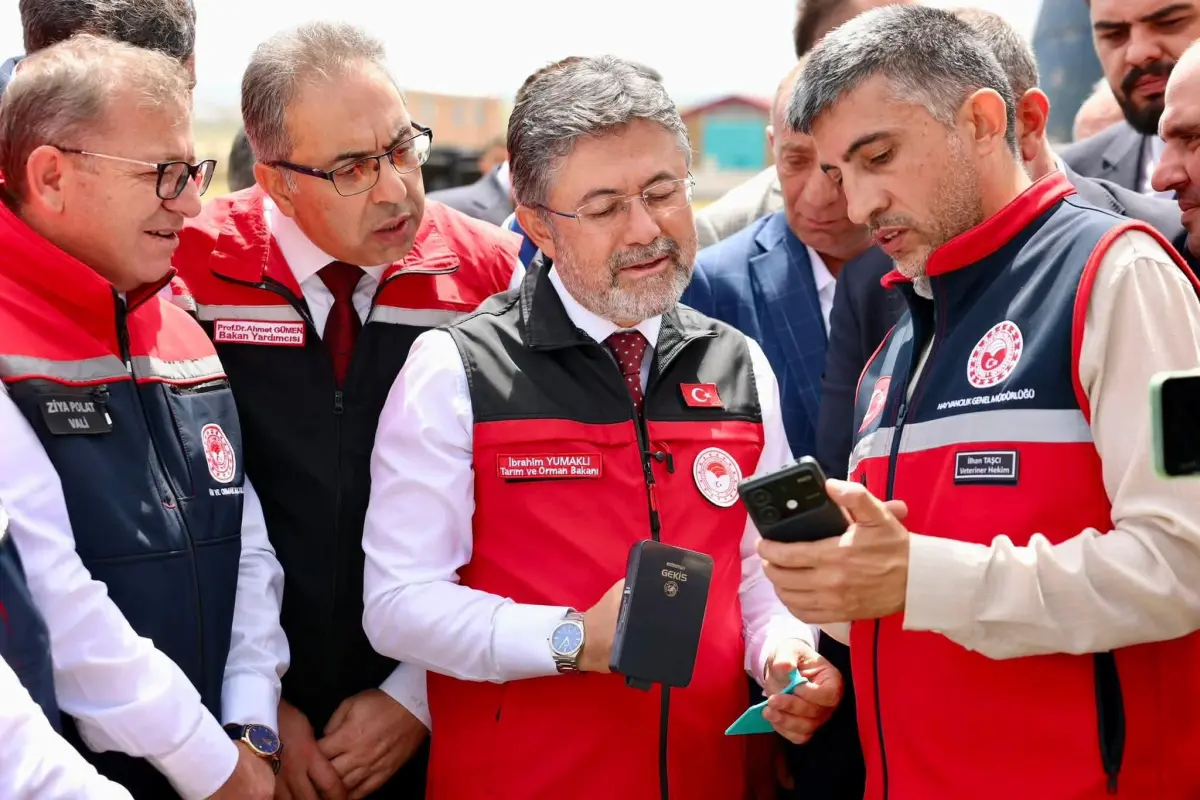 Kars’ta büyükbaş hayvanlara elektronik kimlik