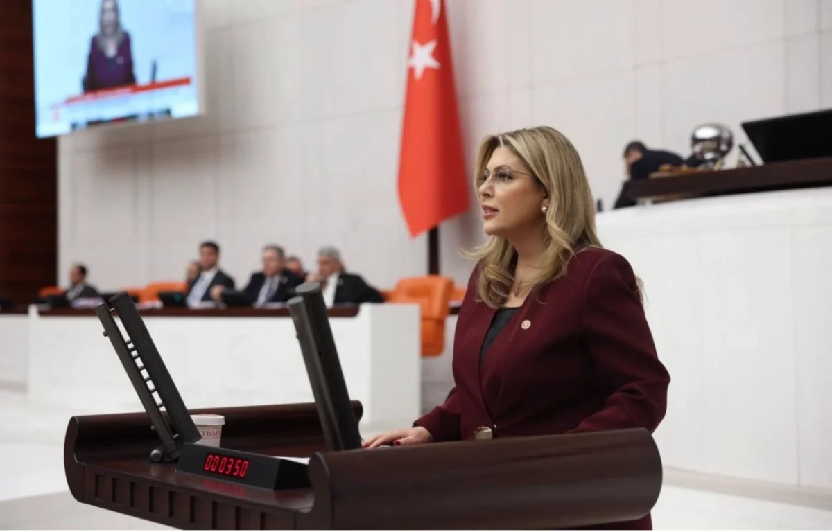 Eczacı ve diş hekimlerinin atama sorunu Meclis gündeminde